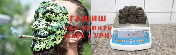 прущие грибы Иннополис