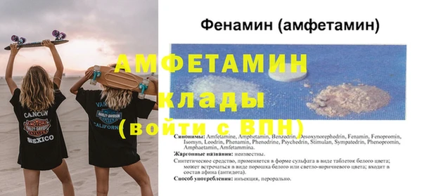 прущие грибы Иннополис