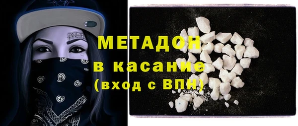 прущие грибы Иннополис