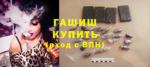шишки Инсар