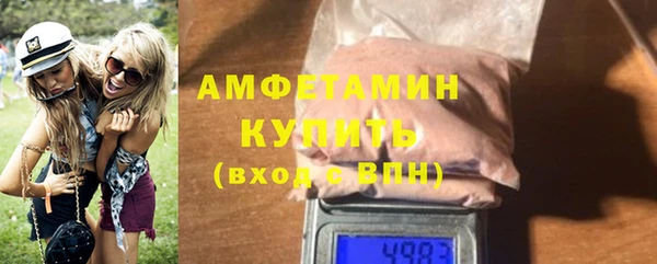 шишки Инсар