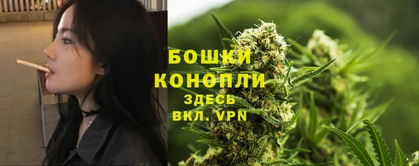 прущие грибы Иннополис