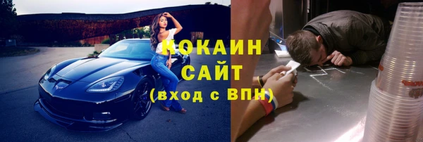 прущие грибы Иннополис