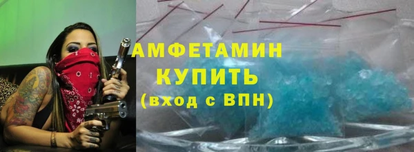 шишки Инсар