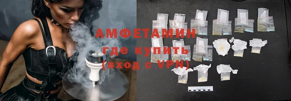 шишки Инсар