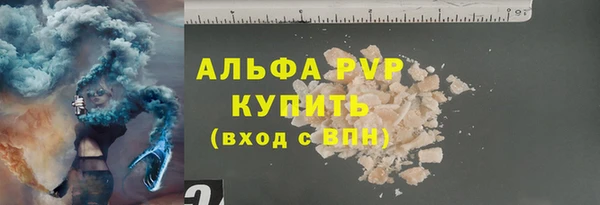 шишки Инсар