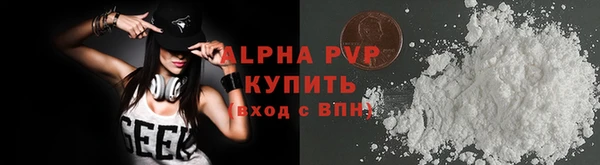 шишки Инсар