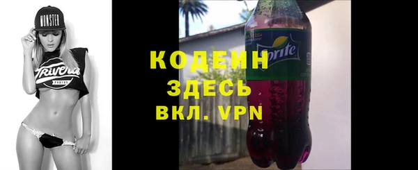 СК Инта