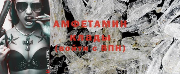 шишки Инсар