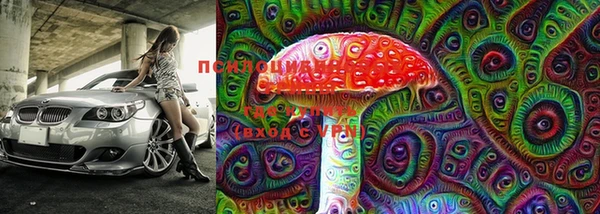 шишки Инсар