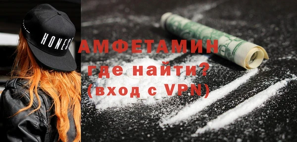 шишки Инсар