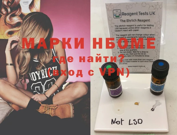 шишки Инсар