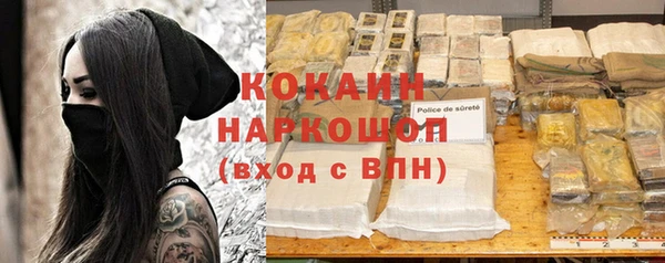 СК Инта