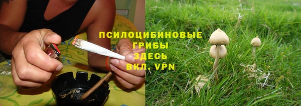 прущие грибы Иннополис