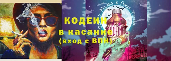 шишки Инсар