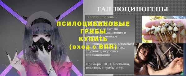 прущие грибы Иннополис
