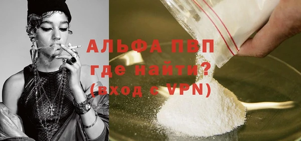СК Инта